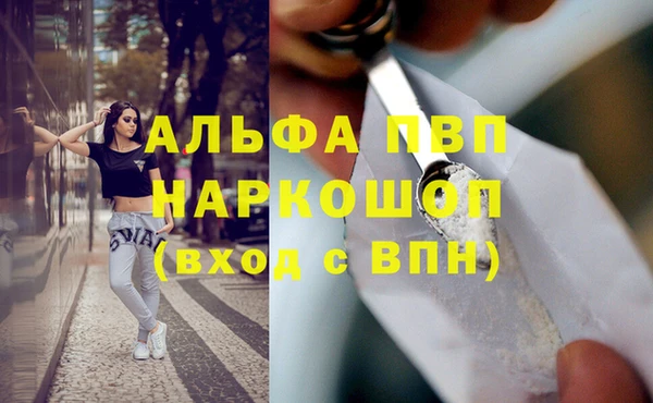 стаф Абинск