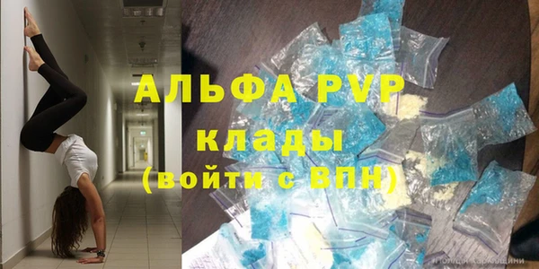 стаф Абинск