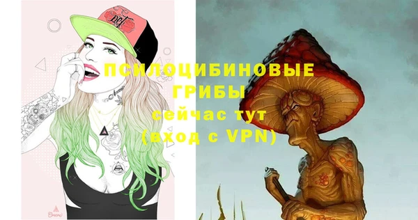 стаф Абинск