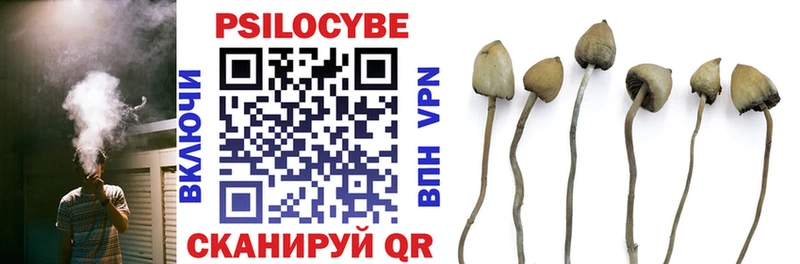 Галлюциногенные грибы мухоморы  shop состав  ссылка на мегу ССЫЛКА  Ряжск  наркошоп 